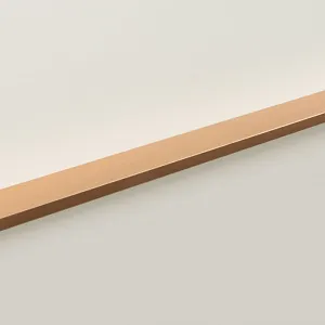 Мебельная ручка RAY RT009SG.1/000/700/*
