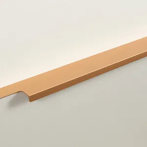 Мебельная ручка RAY RT009SG.1/000/450/*