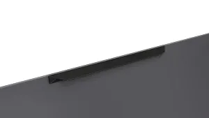 Мебельная ручка RICK RS157BL.3/320