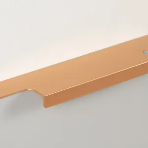 Мебельная ручка RAY RT109SG.1/128/150